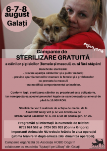 Galati 6.-8.8.2015 poster