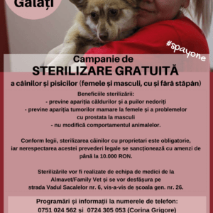 Galati 6.-8.8.2015 poster