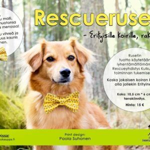 rescuerusetti_kevat2016_fullres_print