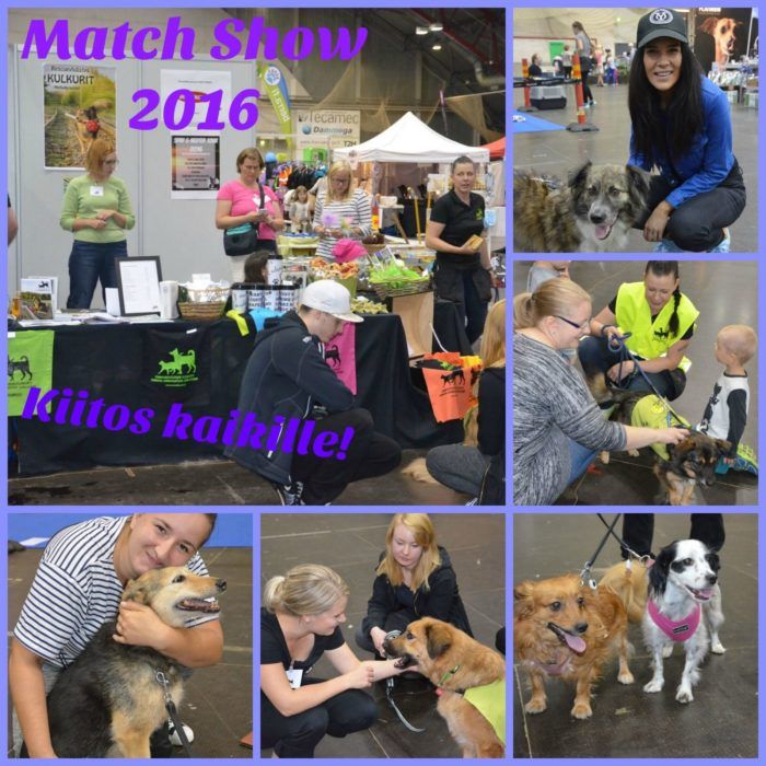kiitos_match_show_2016