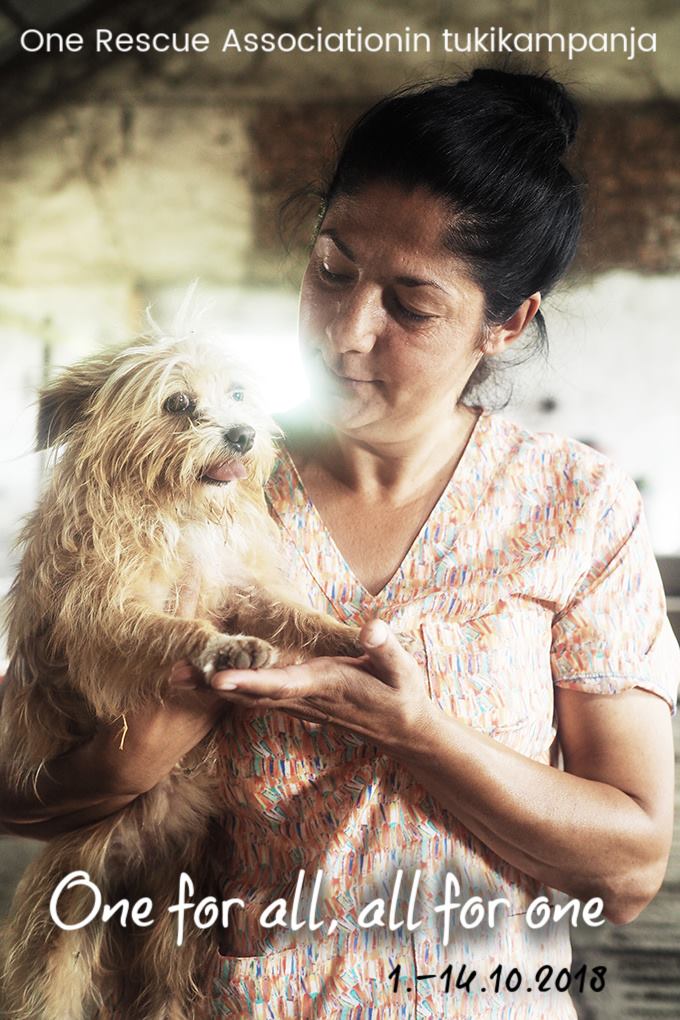 One for all, all for one: Kiitos Adina Vladutin, sadat koirat ovat löytäneet oman kotinsa