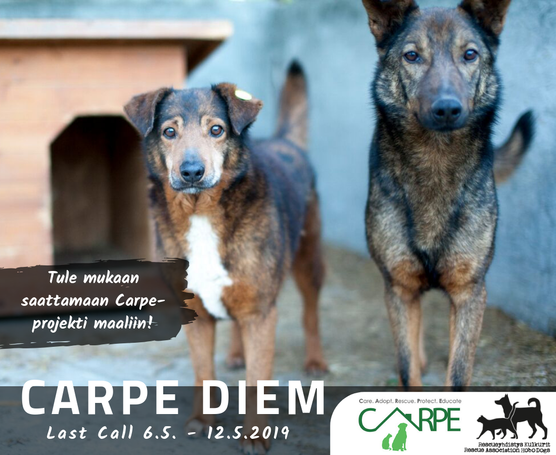 Carpe Diem – last call!