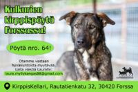Kirppispöytä Forssassa