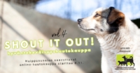 Shout it Out vol 4 hyväntekeväisyyshuutokauppa