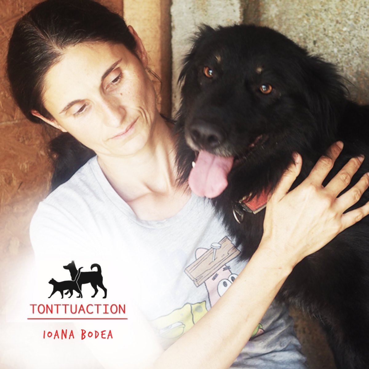 Tonttuactionin kuudes toive: Ioana Bodean joululahjatoive liittyy koirankoppeihin