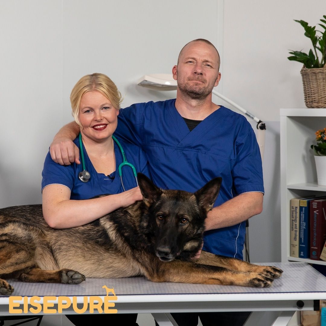 Jäsenetu: EISEPURE – koiran ensiapu- ja terveyskurssit