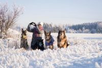 Kuvassa Kulkurien toiminnanjohtajata Salla Honkapää istuu lumessa kolmen koiransa kanssa.