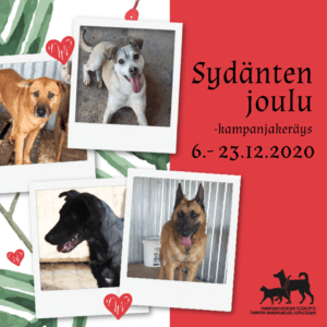 2020SydäntenJoulu_neliö