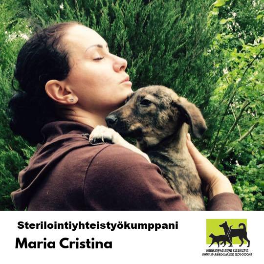Esittelyssä Kulkurien sterilointiyhteistyökumppanit – Maria Cristina