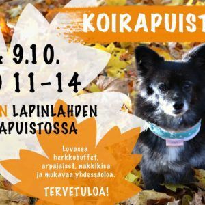 Koirapuistoilua Helsingissä -tapahtuman flyeri. Flyerin sisältö avataan leipäteksissä.