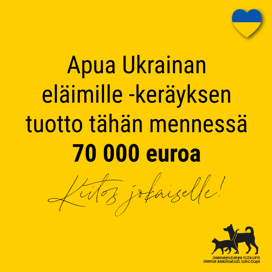 Apua Ukrainan eläimille -hätäapukeräyksen tuotto nyt jo yli 70 000 euroa