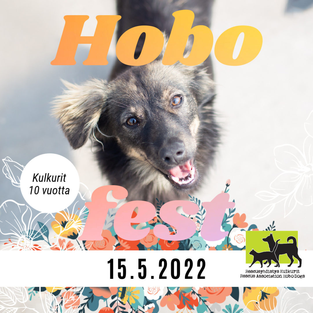 Hobofest 15.5. Helsingissä Pitäjänmäen nuorisotalolla