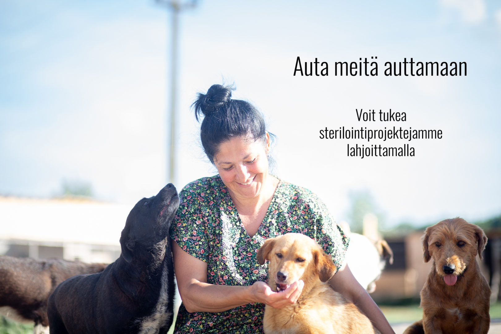 Lahjoittaisitko sinäkin sterlointityöhön