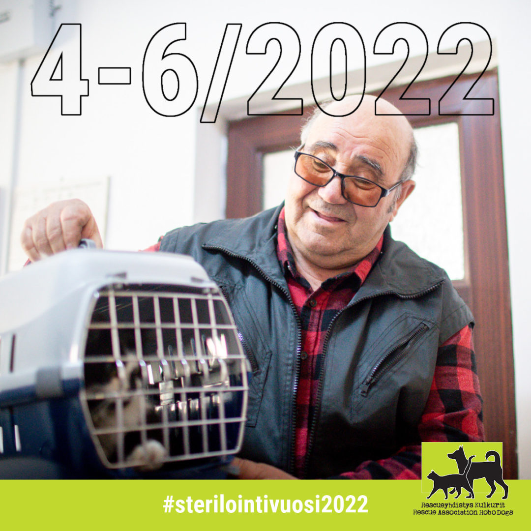 Sterilointivuosi 2022/4-6: Tänä vuonna steriloitu 2529 eläintä, uusi sterilointiprojekti lanseerattu