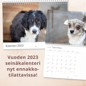 Kalenteri 2023_ennakkotilausHS