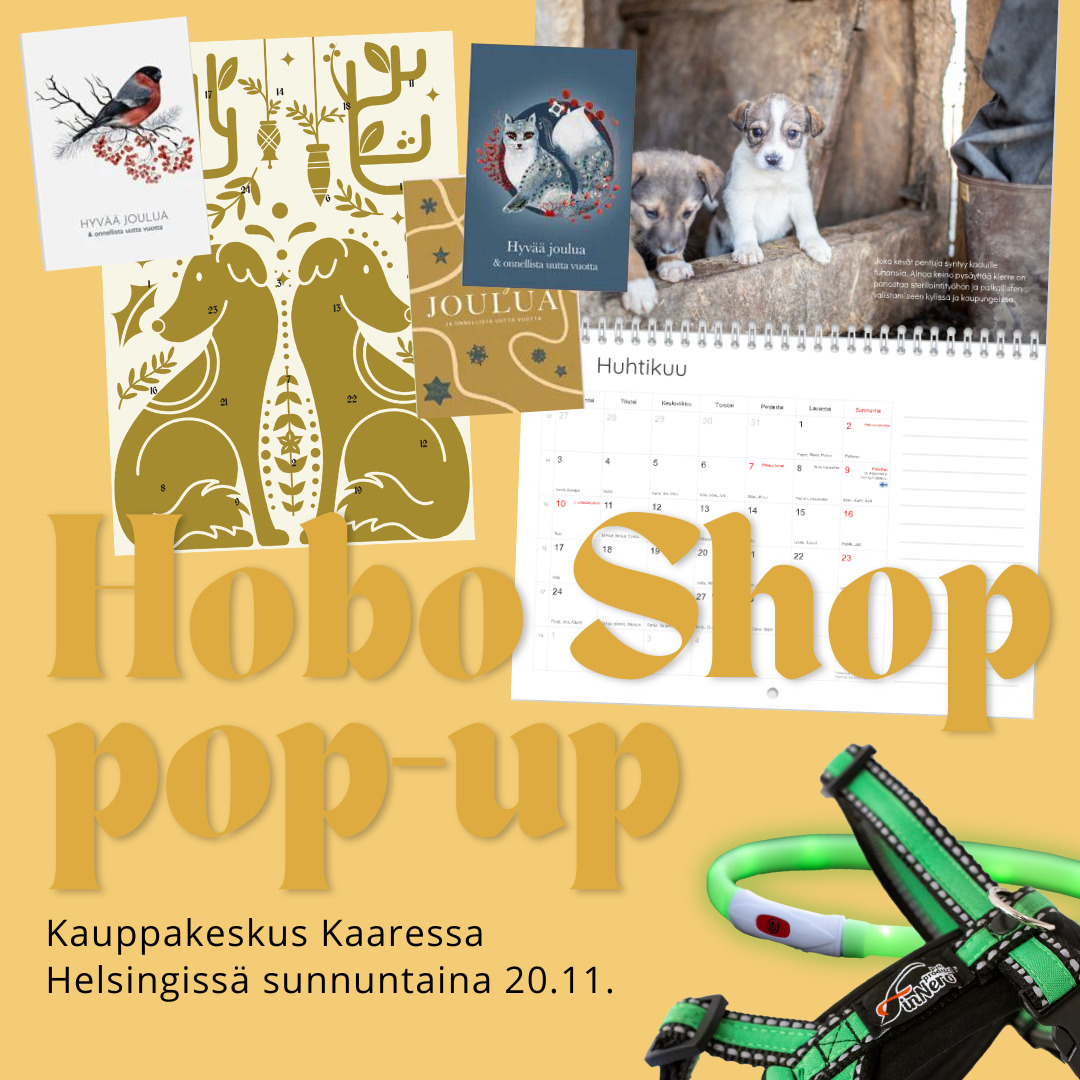 Hobo Shop pop-up Helsingissä 20.11. ja Tampereella 22.11.