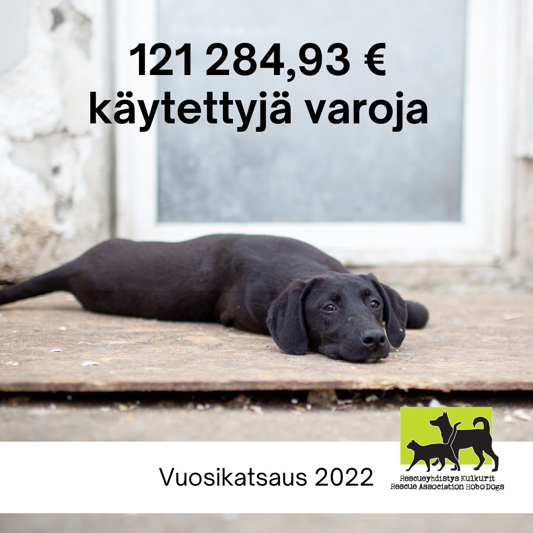 Sterilointivuosi 2022: 121 284,93 € käytettyjä varoja