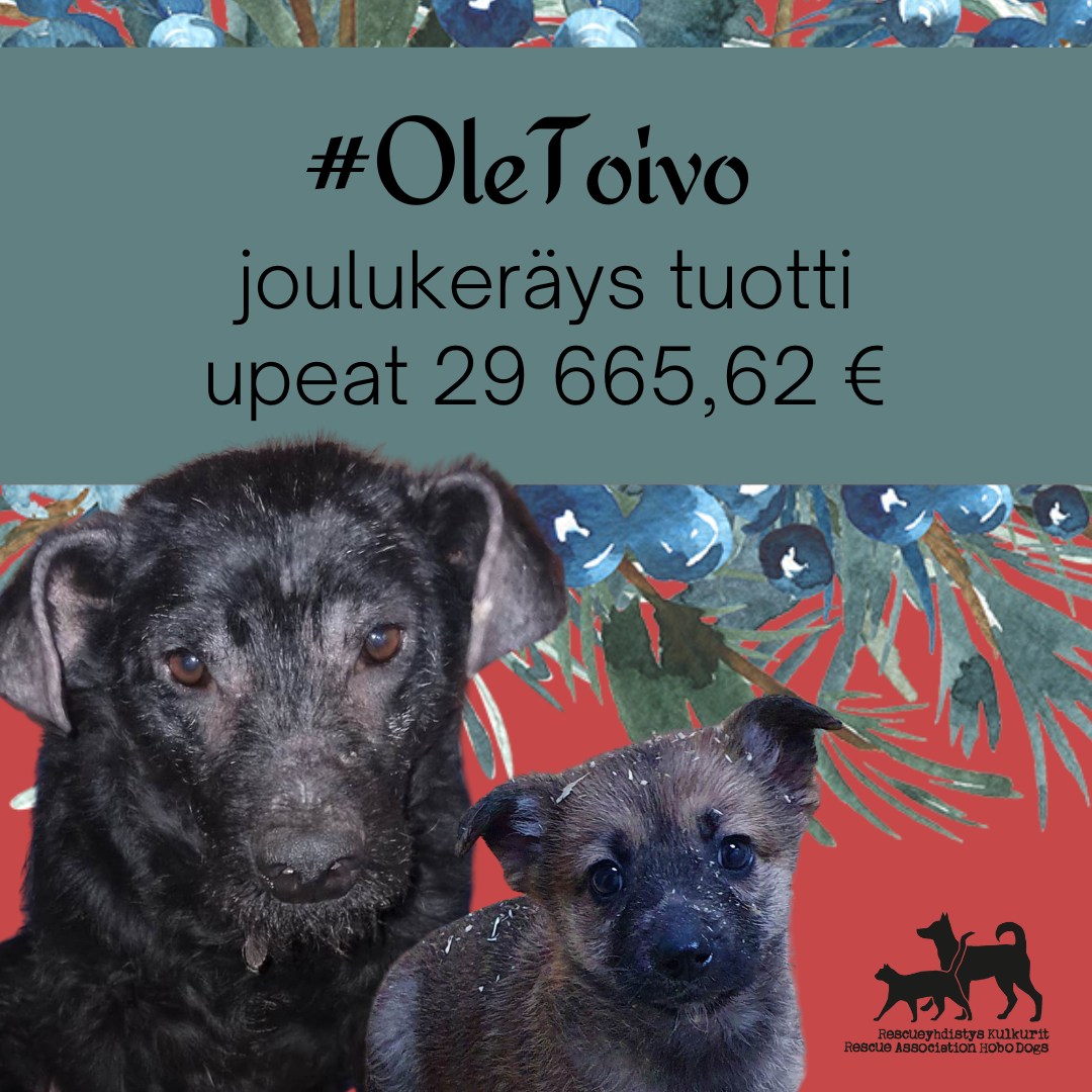 #OleToivo-joulukeräys tuotti 29 665,62 €