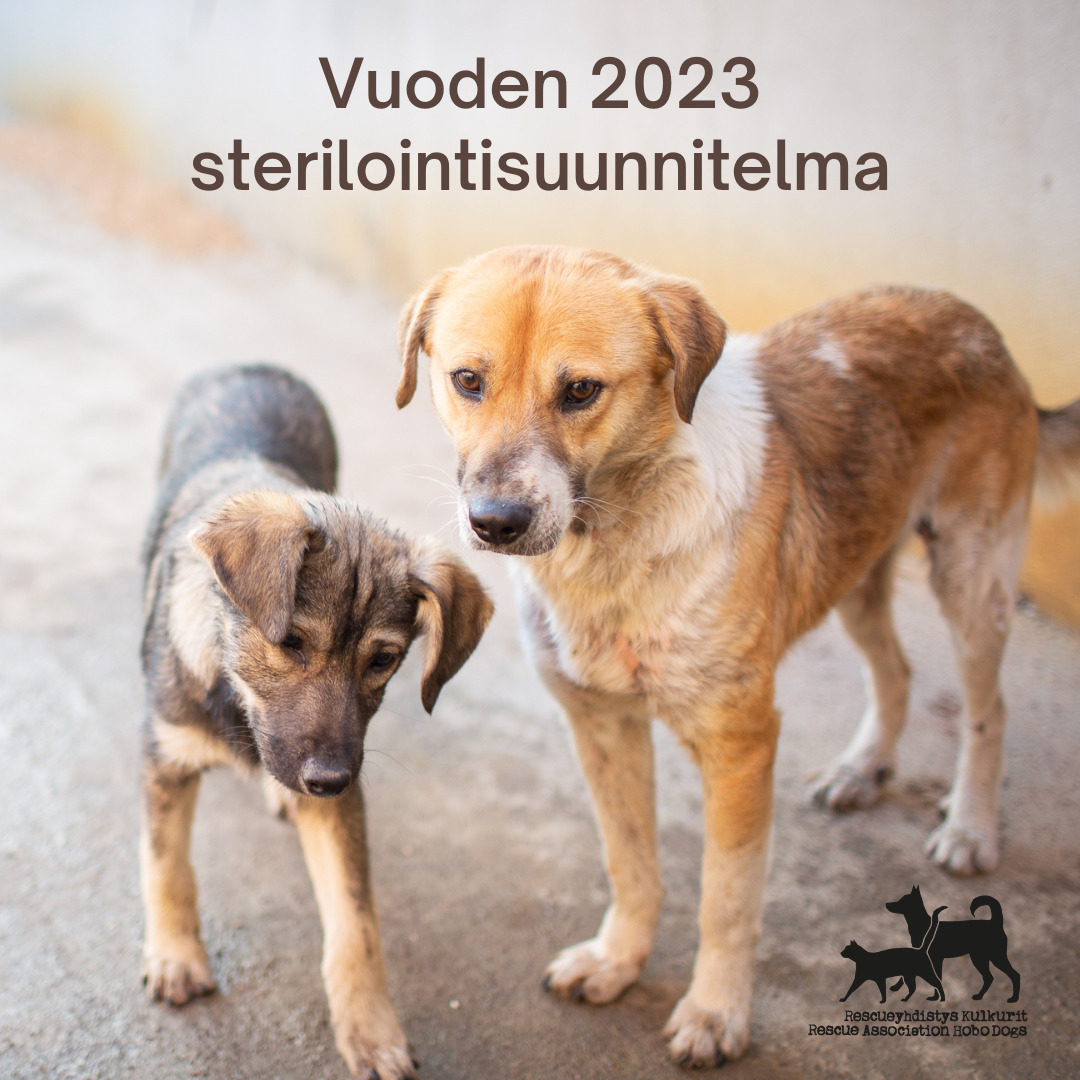 Vuoden 2023 sterilointisuunnitelmat, tavoitteet ja muutokset hinnoissa
