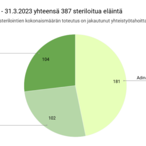 Steriloinnit ajalla 1.1 – 31.3.2023 yhteensä 387 steriloitua eläintä