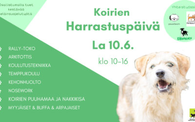 Koirien Harrastuspäivä la 10.6.