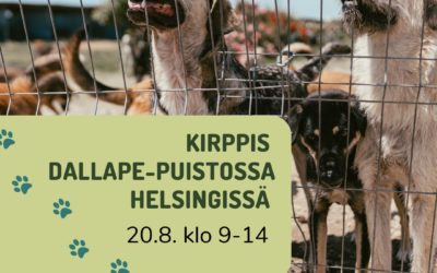 Kirppis Helsingin Dallapénpuistossa 20.8.
