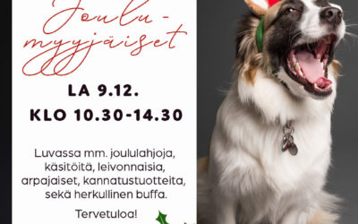 Kulkurien joulumyyjäiset Arabian nuorisotalolla Helsingissä 9.12.