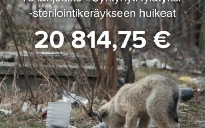 #SyntynytHylätyksi -sterilointikeräys tuotti 20 814,75 €