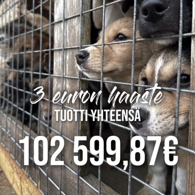 Teimme yhdessä historiaa – Mustan viikon ”3 euron haaste” tuotti 102 599,87€