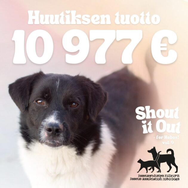 Shout it Out -huutokaupan tuotto yli 10 000 euroa