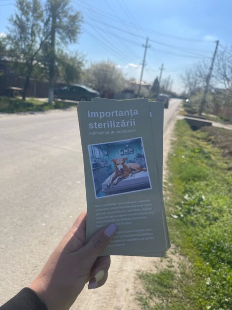 spay&neuter flyer