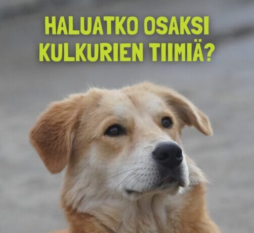 Kulkurit rekrytoi
